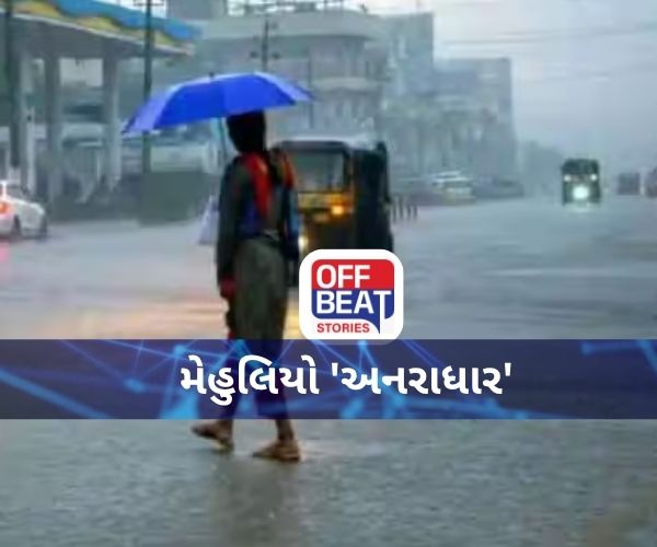 ગુજરાતમાં છેલ્લા 24 કલાકમાં 87 તાલુકામાં વરસાદ